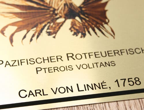 Notranji kovinski materiali